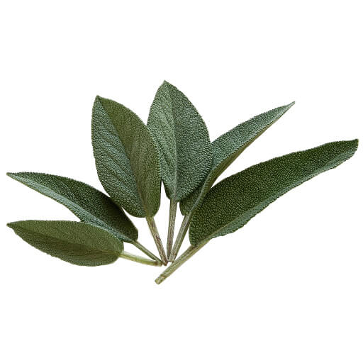 Sage