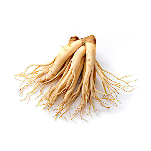 Ginseng