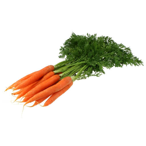 Carrot
