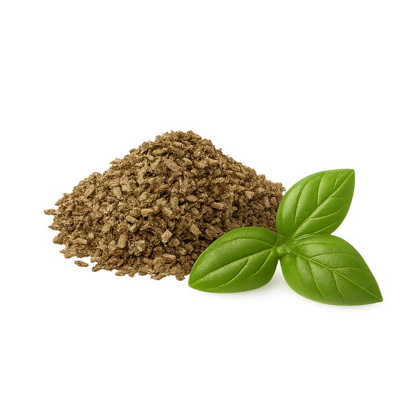 Basil