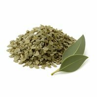 Eukalyptus