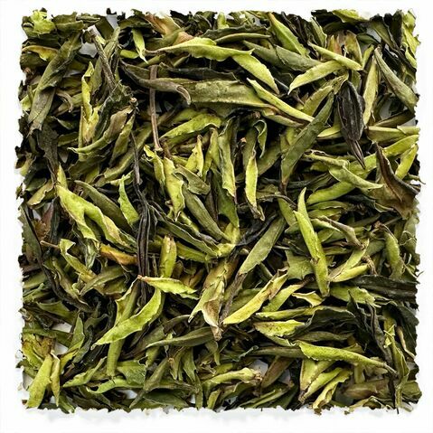 Arbre ancien sauvage blanc