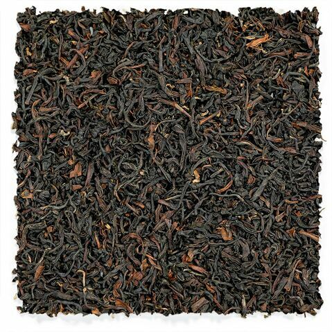 Source de Ringtong Darjeeling