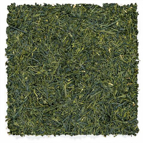 Yame Sencha | Fukuoka Reserve