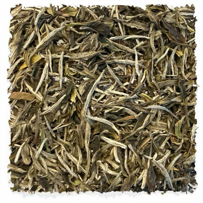 White Peony Tieguanyin Baicha