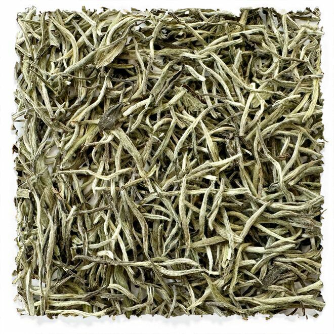Bai Hao Yin Zhen Silver Needle